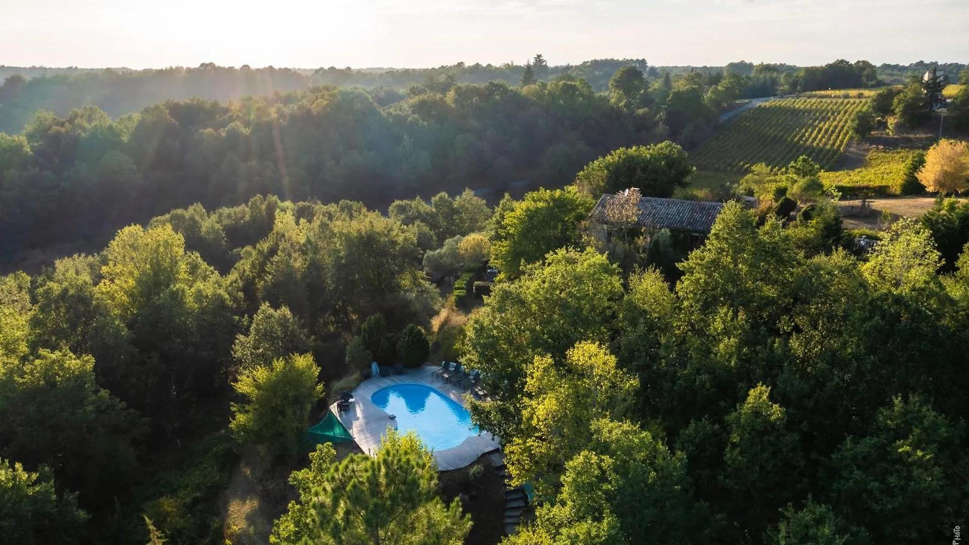 Les Hauts De Jeanvert - Le Bouleau - Piscine - Gaillac