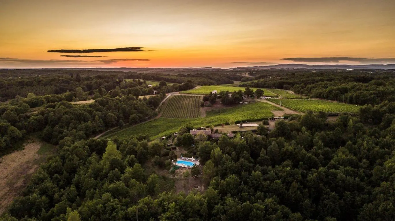 Casa vacanze Les Hauts De Jeanvert - Le Bouleau - Piscine - Gaillac