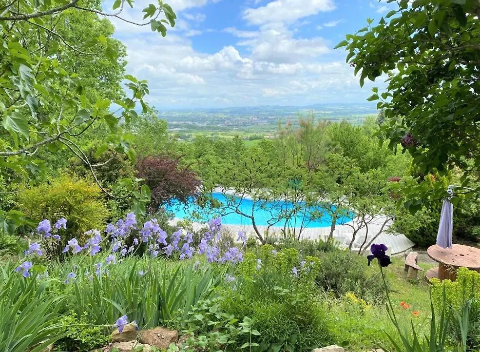 Les Hauts De Jeanvert - Le Bouleau - Piscine - Gaillac