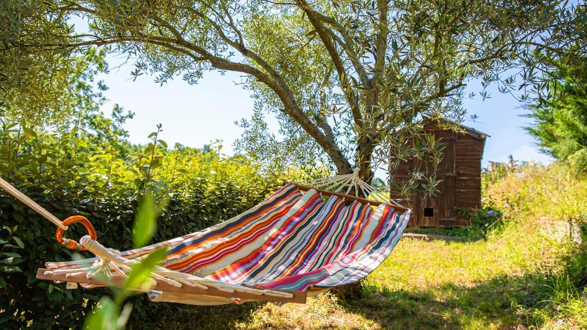 Les Hauts De Jeanvert - Le Bouleau - Piscine - Gaillac Francia